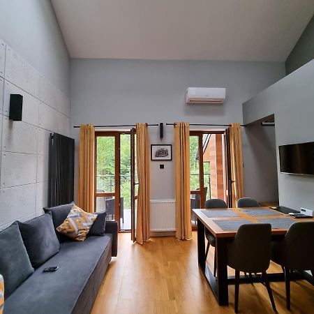 クリニツァ・ズドルイApartament Dwupoziomowy Z Klimatyzacjaアパートメント エクステリア 写真